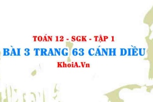 Bài 3 trang 63 Toán 12 tập 1 Cánh Diều